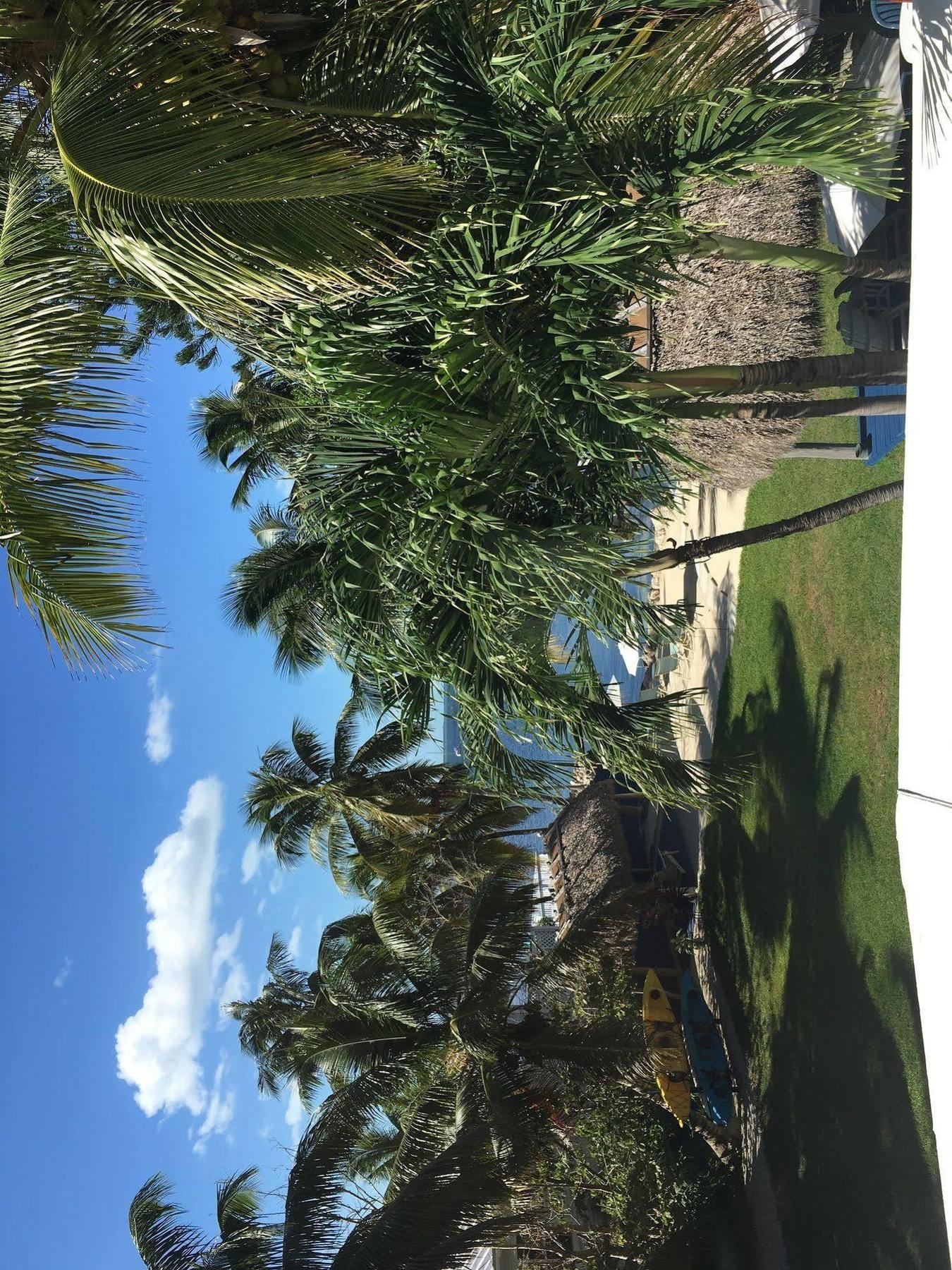Hotel Azul Del Mar (Adults Only) Key Largo Zewnętrze zdjęcie